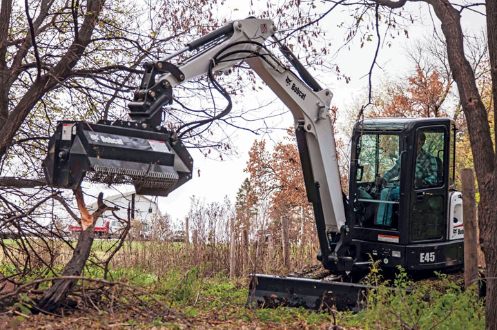 Bobcat