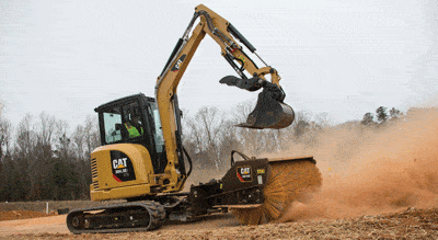 cat-304